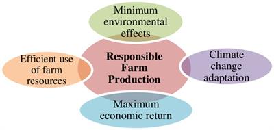 Role of farmers’ entrepreneurial orientation, women’s participation, and information and communication technology use in responsible farm production: a step towards sustainable food production